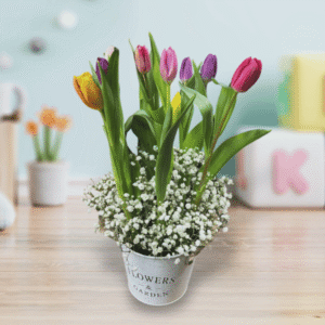 Balde de mix de 10 tulipanes y gypsophilias