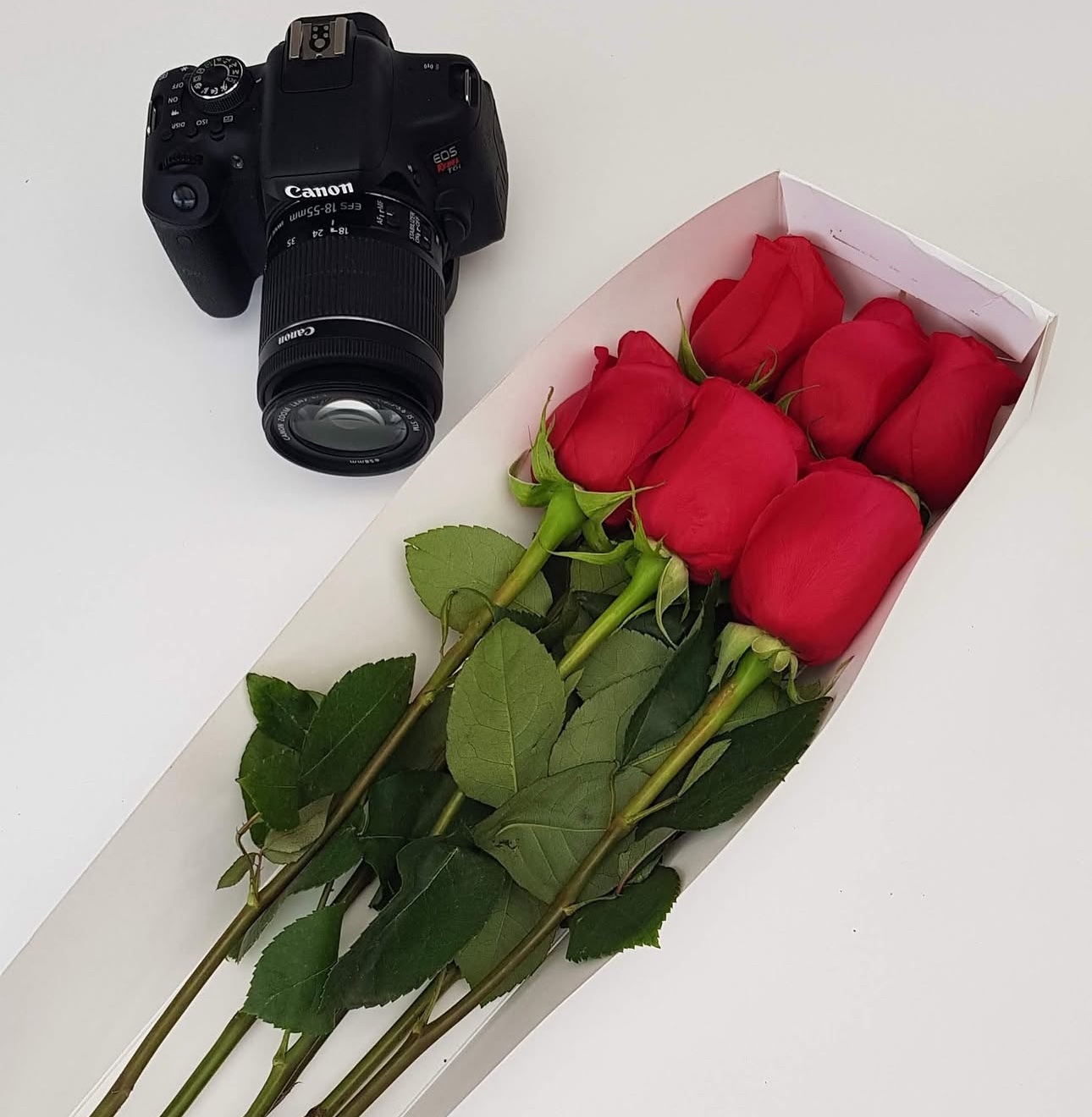 Caja de 6 rosas rojas