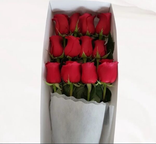 Caja de 12 rosas rojas