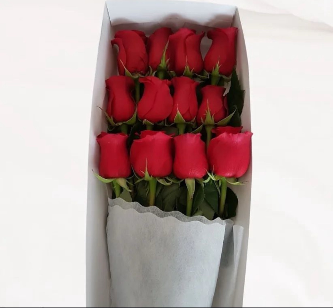Caja de 12 rosas rojas