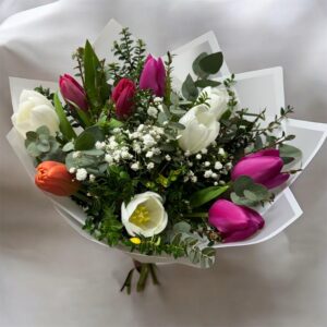 Mix de 10 tulipanes