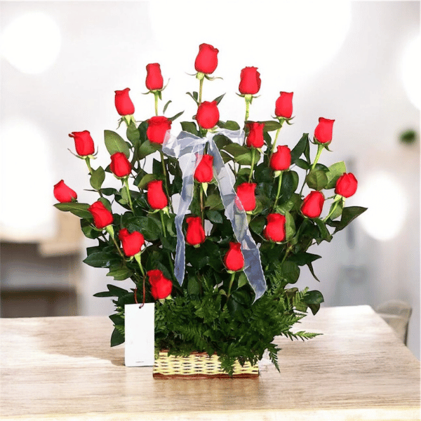 Canasta de 25 rosas (elige color)