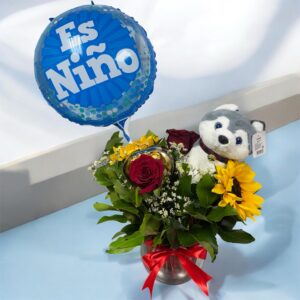 Pecera nacimiento niño/niña